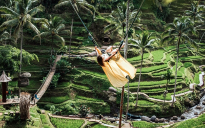 Ubud 1 Day Bali Tour Package