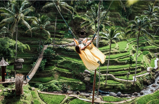 Ubud 1 Day Bali Tour Package