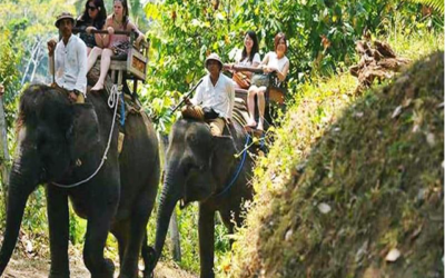 Bali ATV Ride, Elephant Tour